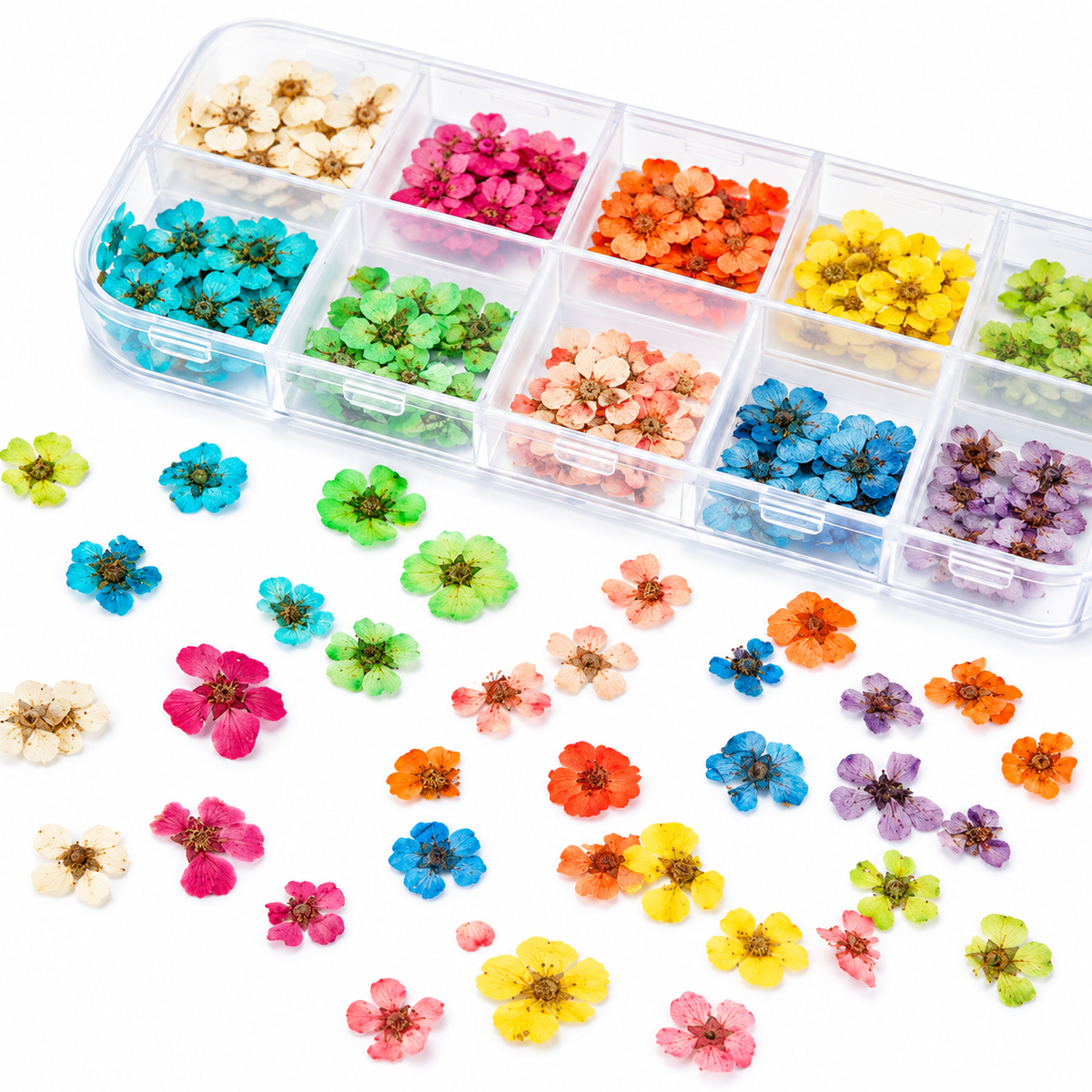 Miniature Dry flowers