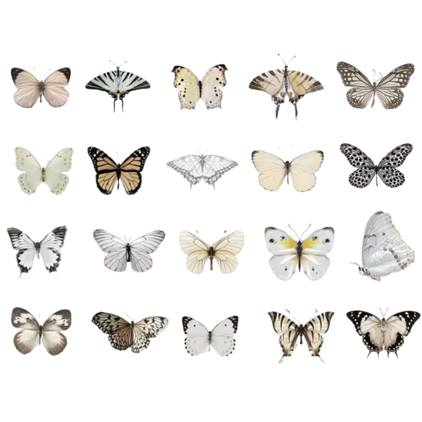 White And Gray Butterfly decals