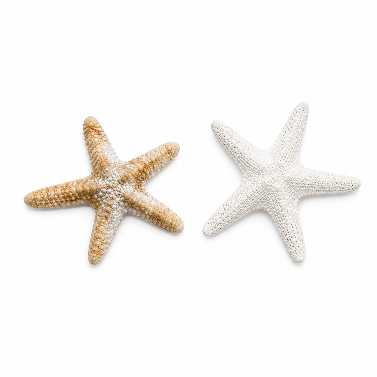 Starfish - Acrylic