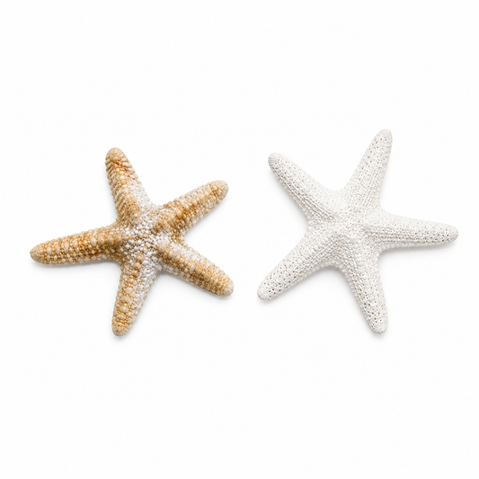 Starfish - Acrylic