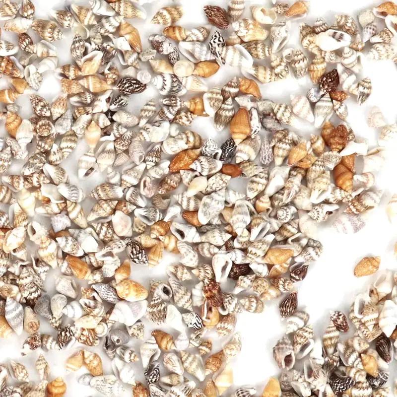 Mini Conch Beads